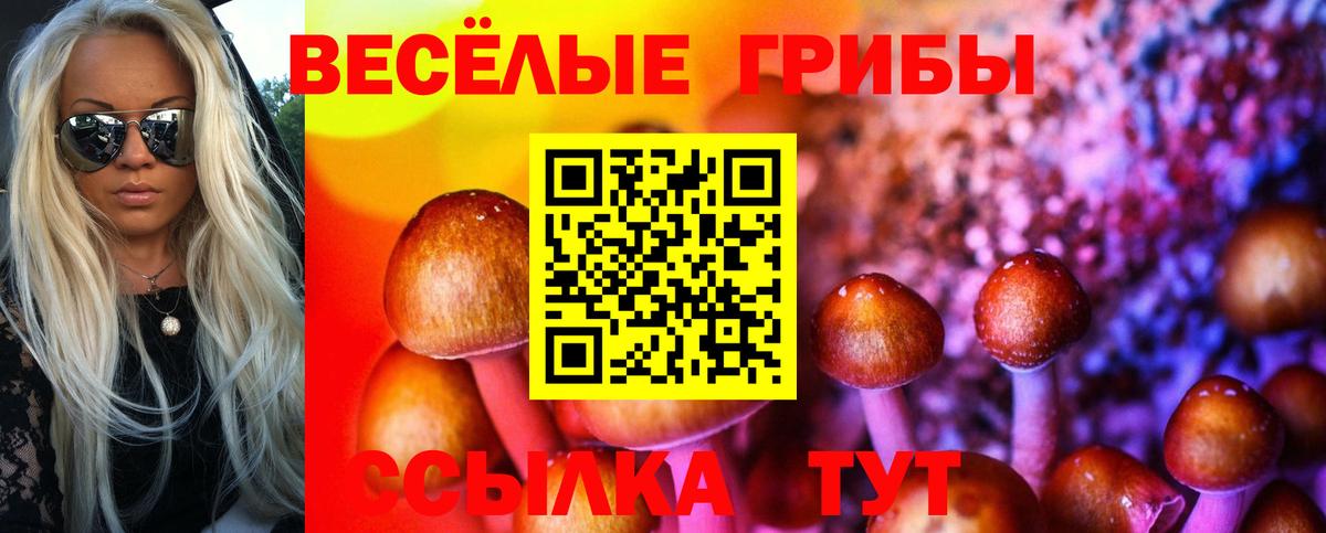 Уссурийск  Псилоцибиновые грибы мицелий  купить наркотики цена  Вход с VPN 